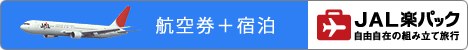 JAL�y�p�b�N�`�q�󌔁{�h���F���R���݂̑g�ݗ��ė��s
