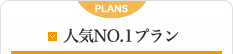 �l�CNO.1�v����